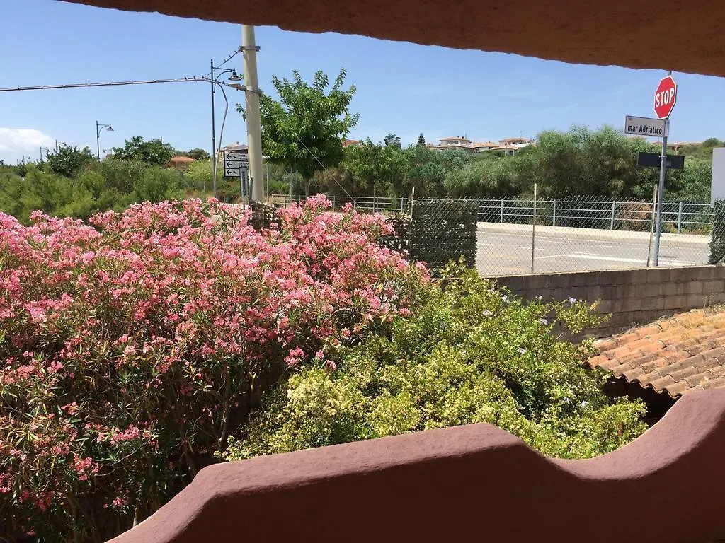 Tatil Evi Il Fenicottero Rosa Villa Olbia