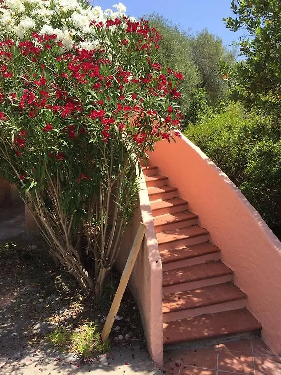 Il Fenicottero Rosa Villa Olbia 0*,