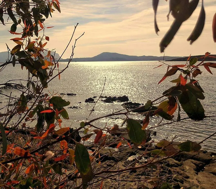Il Fenicottero Rosa Villa Olbia Tatil Evi