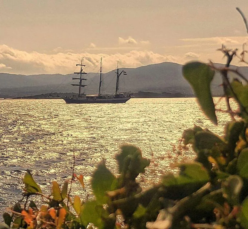 Il Fenicottero Rosa Villa Olbia
